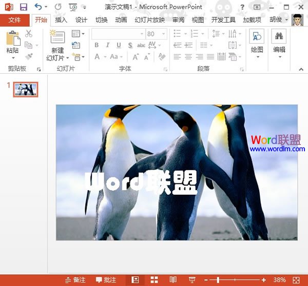 PowerPoint2013中设置文本背景填充效果