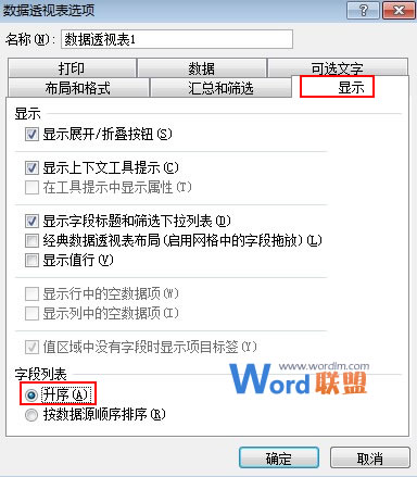 给Excel2010数据透视表字段进行排序