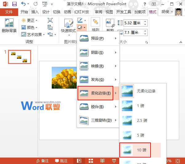 PowerPoint2013图片处理：柔化边缘