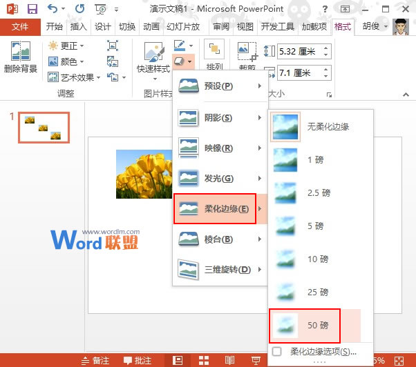 PowerPoint2013图片处理：柔化边缘