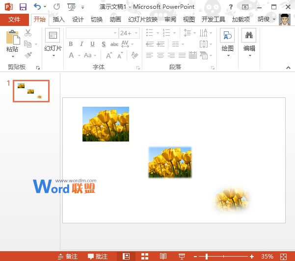 PowerPoint2013图片处理：柔化边缘